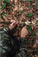Veranstaltungsbild Survivalcamp -ein besonderer Tag in der Wildnis
